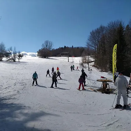 Guest house Nemanja Sljivovica (Zlatibor)