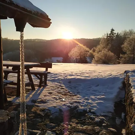 Nemanja Guest house 4*