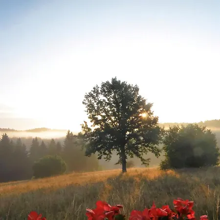 Nemanja Guest house Sljivovica (Zlatibor)