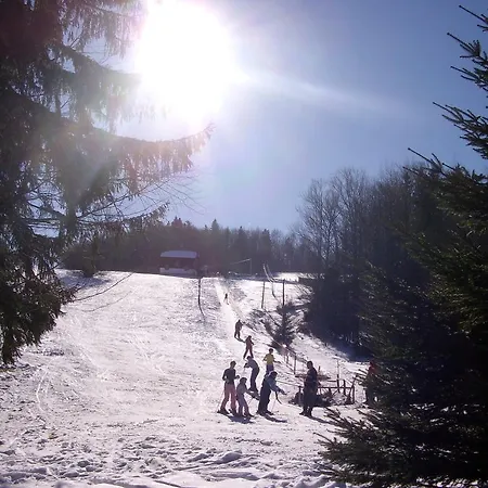 Guest house Nemanja 4*