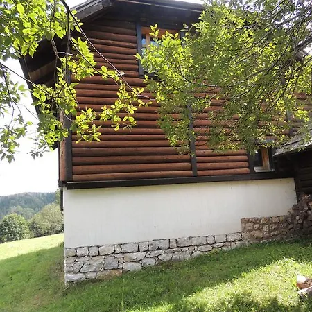 Guest house Nemanja Sljivovica (Zlatibor)